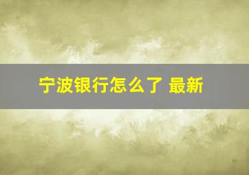 宁波银行怎么了 最新